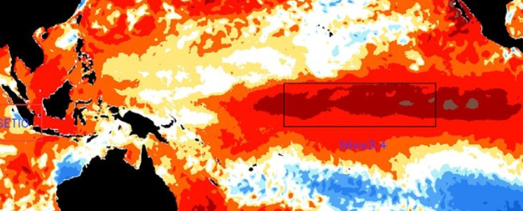 Ahli Ungkap Ganas Potensi Mega El Nino, Bisa Bikin Makhluk Bumi Punah